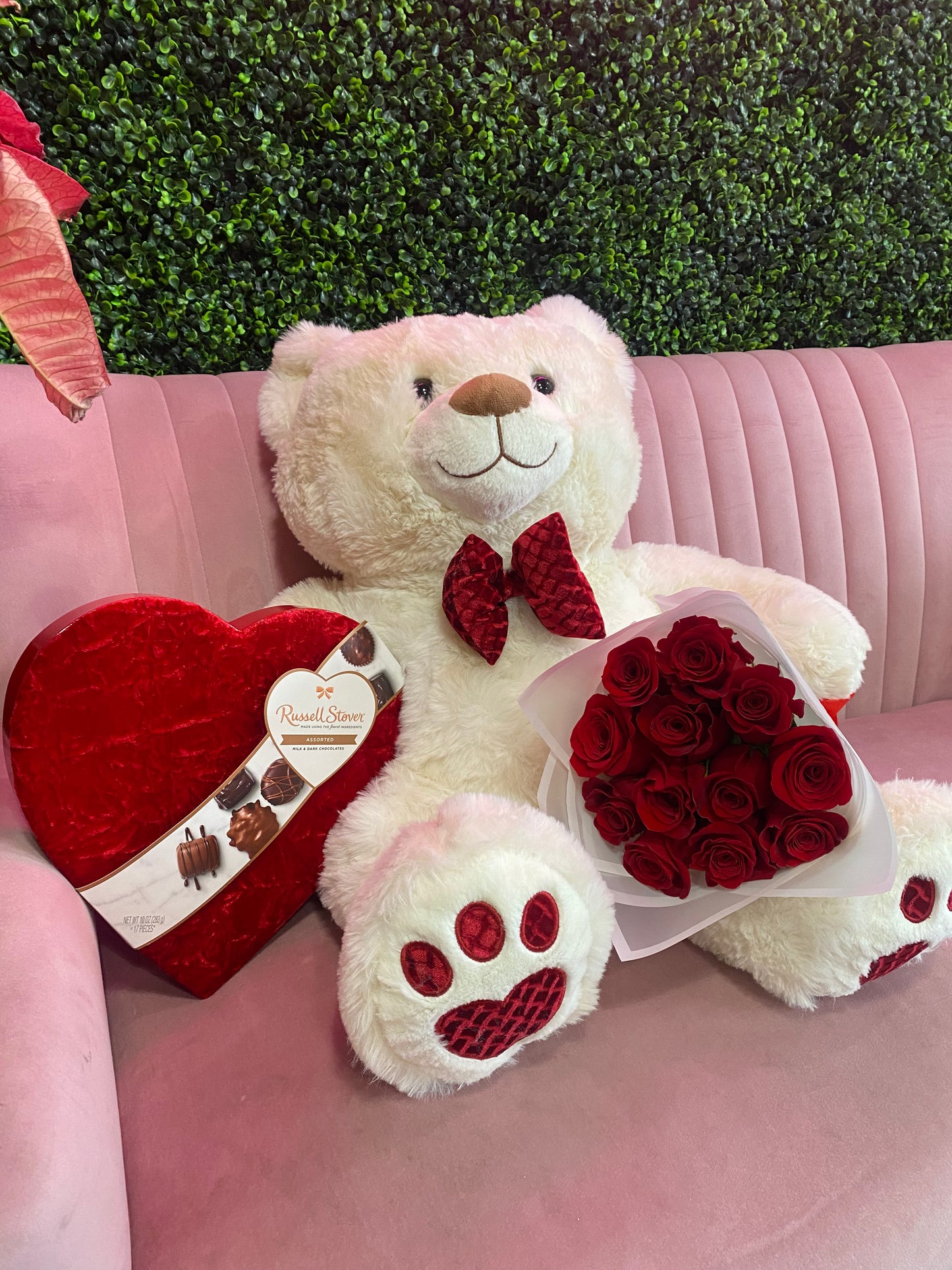 Beary Special Combo