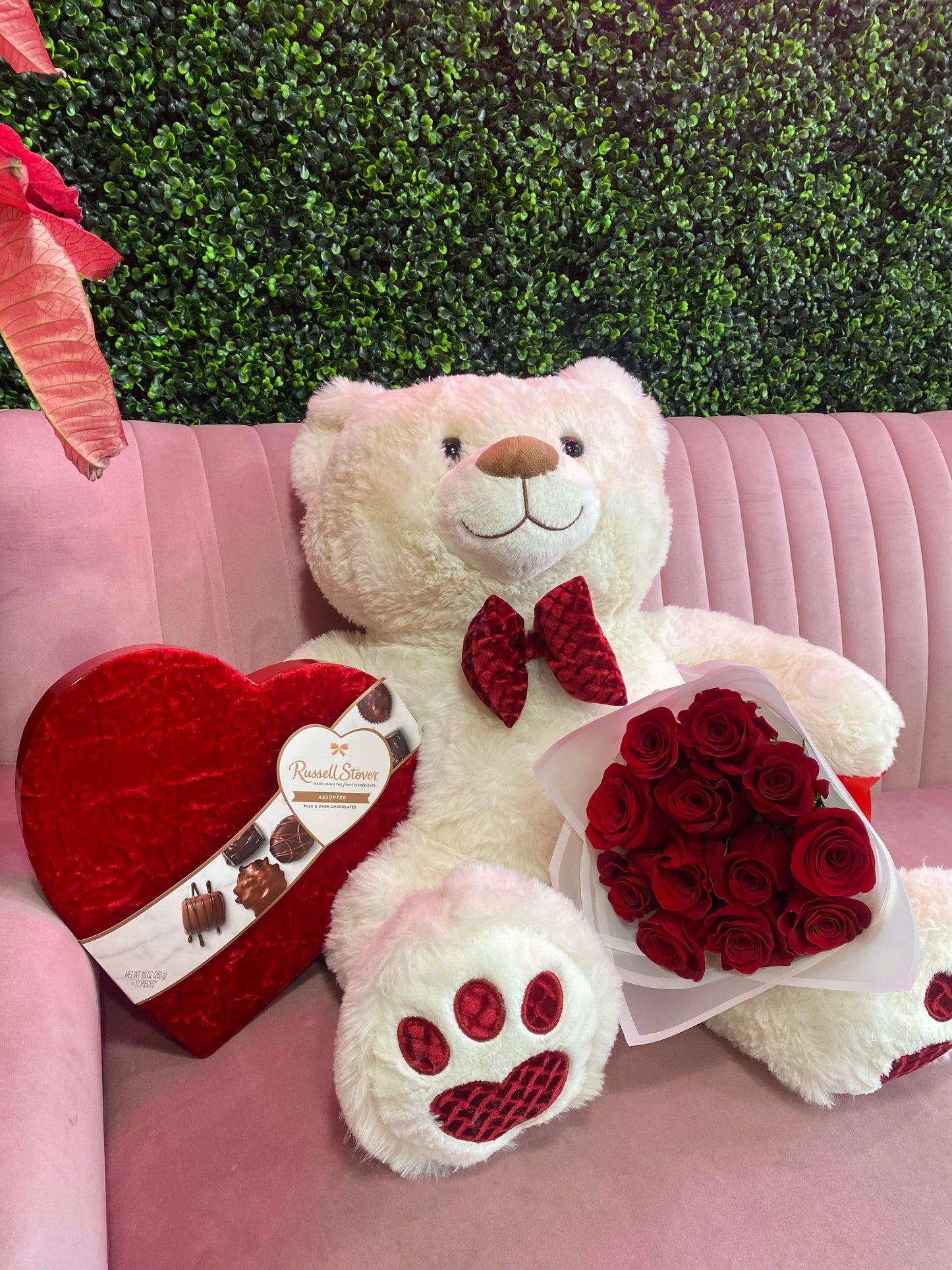 Beary Special Combo